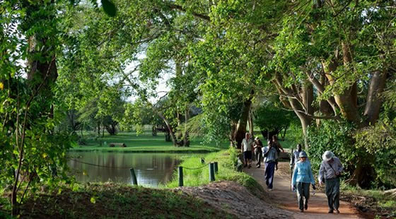 Voyager Ziwani Camp Nature Walk